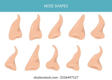 Formas de la anatomía de la nariz. Enfermedades nasales. Diseño infográfico médico. Ilustración vectorial