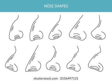 Formas de la anatomía de la nariz. Enfermedades nasales. Diseño infográfico médico. Ilustración vectorial