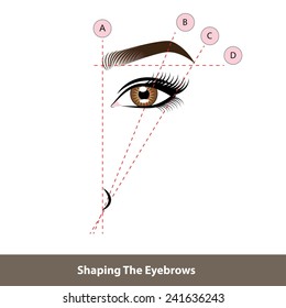 Shaping The Eyebrows