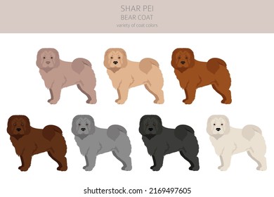 Shar Pei bear coat clipart. Different poses, coat colors set.  Vector illustration