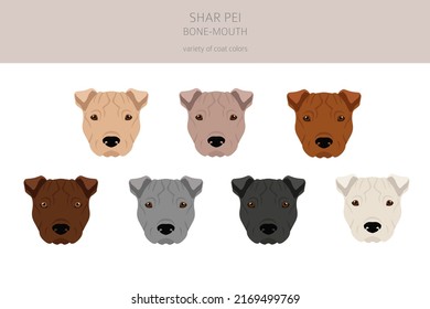 Shar Pei bone mouth clipart. Different poses, coat colors set.  Vector illustration