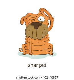 Shar pei. Cute vector cartoon dog character with wrinkles and folds isolated on white with breed caption