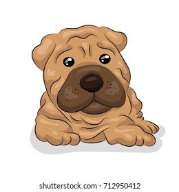 shar pei dog