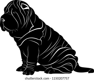 shar pei dog isolated on white background