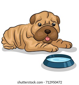 shar pei dog with plate