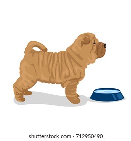 shar pei dog with plate