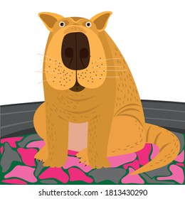 A shar pei dog is sitting in a pet bed