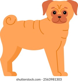 Shar pei dog standing still with an adorable expression and curly tail, featuring a minimalist vector illustration on a clean white background, showcasing simple design elements