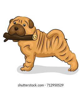 shar pei dog with stick