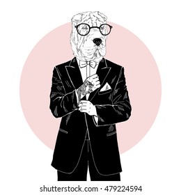 shar pei dressed up in tuxedo, anthropomorphic illustration, fashion animals