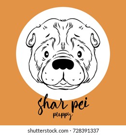 shar pei head isolated on white background. Vector illustration, design element for cards, banners and other