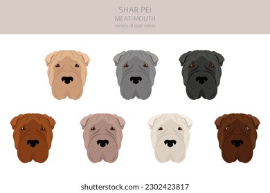 Shar Pei (modern) meat mouth clipart. Different poses, coat colors set.  Vector illustration