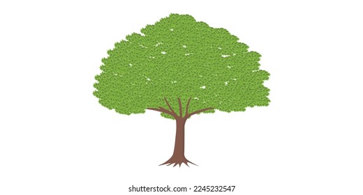 SHARE TREES VECTOR WITH A PLAIN WHITE BACKGROUND