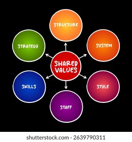 Shared Values is the intersection between the economic value and the social value of a company, mind map concept