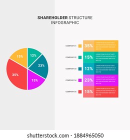 Shareholder structure colorful chart infographic template  vector