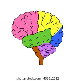 Shares of the brain. Isolated brain side view. Illustration of human brain for medical design, study or concept for logo design. Easy recolor.