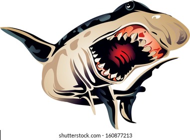 shark 