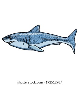 shark