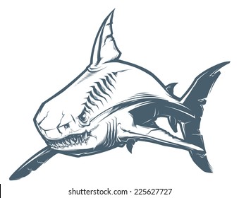 Shark