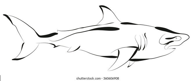Shark