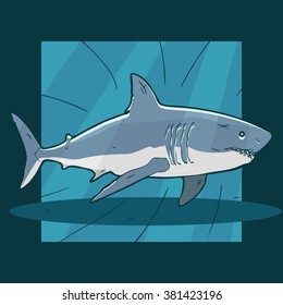 shark