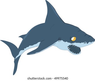 shark