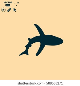 shark