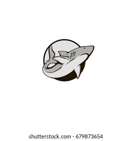 shark