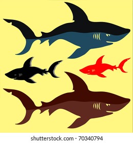 Shark