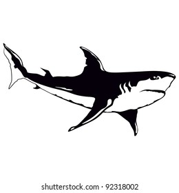 shark