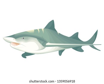 shark alone in color style