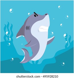 shark angry vector illustration design