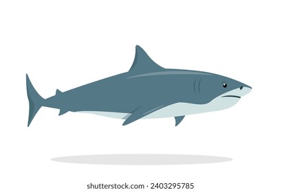 Shark animal icon. Underwater swimming shark, toothy fish mascot, sea fauna character. Ocean aquatic shark animal. Nature Vector flat or cartoon illustration isolated on white background.