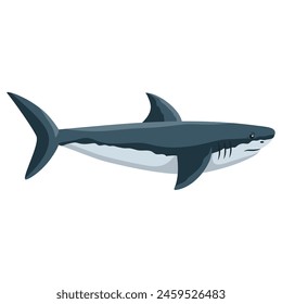 shark animal sea isolated design