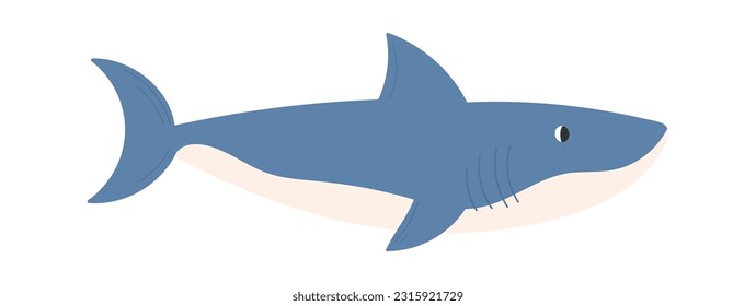 Shark Animal Swimming Vector Illustration