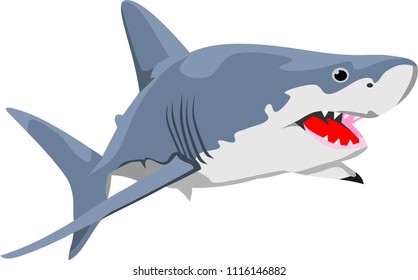 Shark Animal Vector Illustration