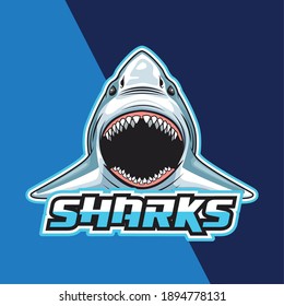 shark animal wild head character in blue background vector illustration design