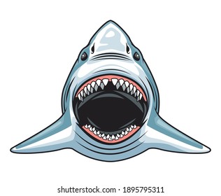 shark animal wild head character colorful icon vector illustration design