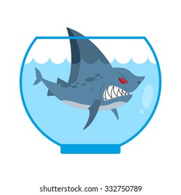Shark in Aquarium. Angry Marine predator with large teeth. Home pet. Tiny water animal.