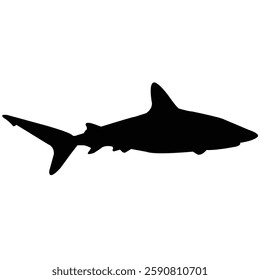 Shark art image vector photo silhouette template picture background 