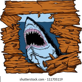 Shark Attack