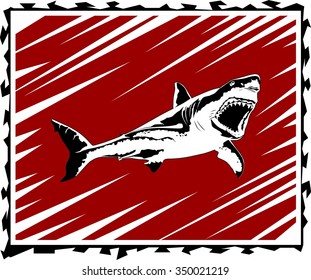 Shark attack