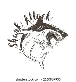 shark attack illustration background template