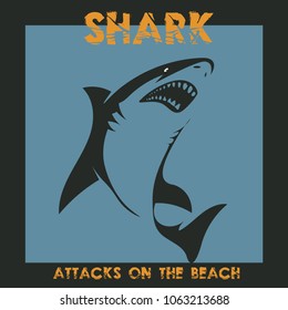   shark attack on the   beach