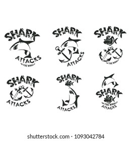   shark attack on the shark beach