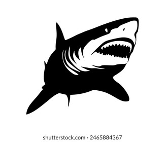 Shark black outline vector illustration. Fish art.