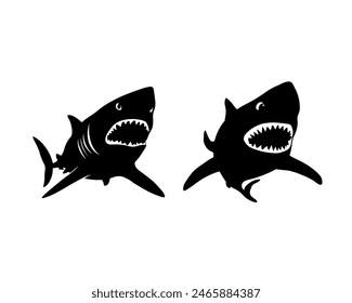 Shark black outline vector illustration. Fish art.