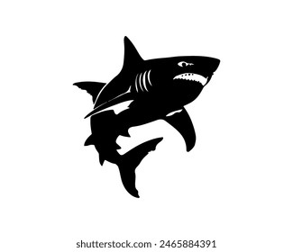 Shark black outline vector illustration. Fish art.