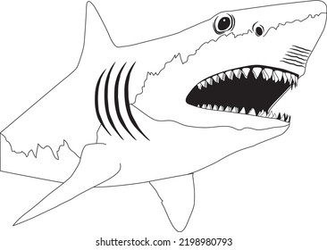 SHARK BLACK AND WHITE VECTOR