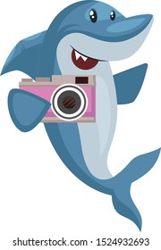 Shark with camera, illustration, vector on white background.
